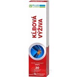 PLUS LEKÁREŇ Kĺbová výživa šumivé tbl s príchuťou grepu 1x20 ks obrázok