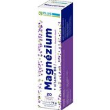 PLUS LEKÁREŇ Magnézium + vitamín B6 tbl eff s príchuťou čiernych ríbezlí 1x20 ks obrázok