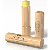 Pomáda s nechtíkom záhradným na pery 1x4,5 g obrázok