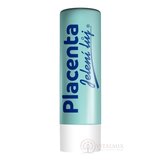 REGINA PLACENTA pomáda na pery 1x4,5 g obrázok