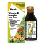 SALUS Floradix Vitamín-B-komplex tekutý vitamín 1x250 ml obrázok