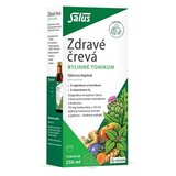 SALUS Zdravé črevá bylinné tonikum 1x250 ml obrázok