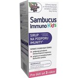 Sambucus Immuno Kids sirup, malinová príchuť 1x120 ml obrázok