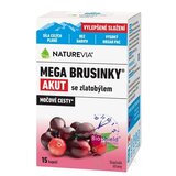 SWISS NATUREVIA MEGA BRUSNICE AKUT SO ZLATOBYĽOU cps 1x15 ks obrázok