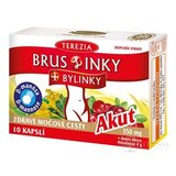 TEREZIA BRUSLINKY + BYLINKY Akut cps 1x10 ks obrázok