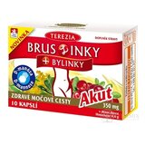 TEREZIA BRUSLINKY + BYLINKY Akut cps 1x10 ks obrázok