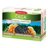 TEREZIA ČAGA + REISHI a RAKYTNÍK cps 1x60 ks obrázok