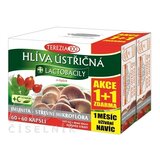 TEREZIA HLIVA USTRICOVITÁ + LAKTOBACILY so šípkami (AKCIA 1+1), cps 60+60 zadarmo (120 ks) obrázok