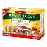 TEREZIA HLIVA USTRICOVITÁ + REISHI s rakytníkovým olejom Forte cps 1x60 ks obrázok