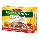 TEREZIA HLIVA USTRICOVITÁ + REISHI s rakytníkovým olejom Forte cps 1x60 ks obrázok