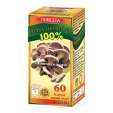 TEREZIA HLIVA USTRICOVITÁ cps 1x60 ks obrázok