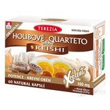 TEREZIA HUBOVÉ QUARTETO s REISHI 60 cps 1x60 ks obrázok