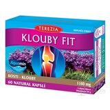 TEREZIA KĹBY FIT cps 1x60 ks obrázok