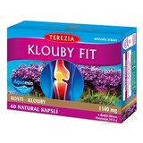 TEREZIA KĹBY FIT cps 1x60 ks obrázok