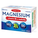 TEREZIA MAGNESIUM + vitamin B6 a meduňka (medovka) cps 1x120 ks obrázok