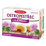 TEREZIA PESTREC + REISHI Forte cps 1x60 ks obrázok