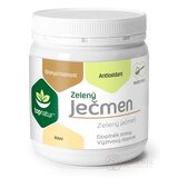 topnatur ZELENÝ JAČMEŇ prášok 1x150 g obrázok