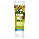 VIRDE VARIX GEL FORTE gaštanový gél s rutínom 1x100 ml obrázok