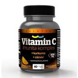 Vitamín C 500 mg Imunita komplex SALUTEM cmúľacie tablety s kurkumou a zázvorom, pomarančová príchuť 1x60 ks obrázok