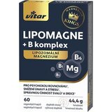VITAR KINGS LIPOMAGNE + B komplex cps 1x60 ks obrázok