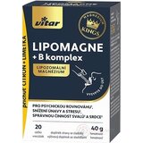 VITAR KINGS LIPOMAGNE + B komplex prášok vo vrecúškach 1x20 ks obrázok