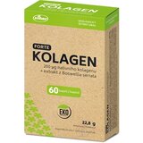 VITAR KOLAGÉN FORTE + extrakt z Boswellia serrata cps 1x60 ks obrázok