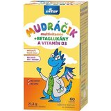 VITAR MUDRÁČIK multivitamín + BETAGLUKÁNY tbl s vitamínom D3 a rakytníkom, príchuť lesná zmes 1x60 ks obrázok