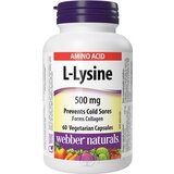 Webber Naturals L-Lysine 500 mg cps 1x60 ks obrázok