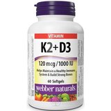 Webber Naturals Vitamín K2+D3 120 mcg/1000 IU cps (mäkké gélové kapsuly) 1x60 ks obrázok