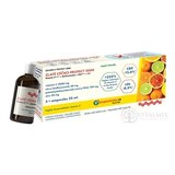ZLATÉ CÉČKO PROTECT 2000 ampulky (vitamín C + bioflavonoidy + PEA + zinok) s príchuťou 5x25 ml (125 ml) obrázok