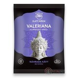 Zlatý Dúšok VALERIANA rozpustný nápoj 1x100 g obrázok