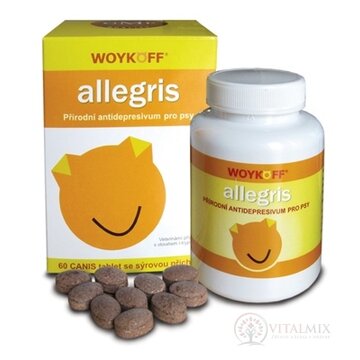 allegris tbl CANIS so syrovou príchuťou 1x60 ks obrázok