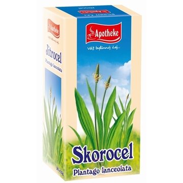 APOTHEKE Skorocel kopijovitý záparové vrecká 20x1,5 g (30 g) obrázok