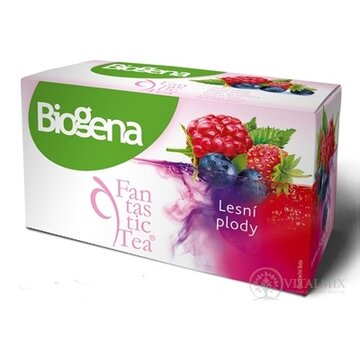Biogena Fantastic Tea Lesné plody ovocný čaj 20x2,2 g (44 g) obrázok