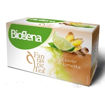 Biogena Fantastic Tea Zázvor & Limetka ovocný čaj 20x2 g (40 g) obrázok