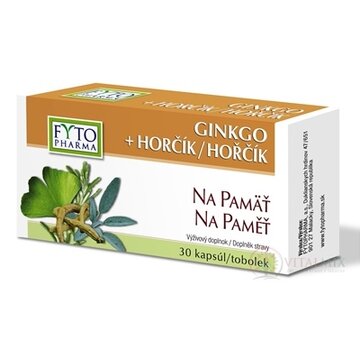 FYTO GINKGO + HORČÍK Na pamäť cps 1x30 obrázok