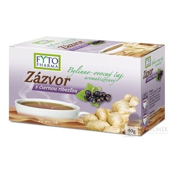 FYTO Zázvor s čiernou ríbezľou 20x2 g (40 g) obrázok