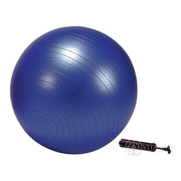 GYMY REHABILITAČNÁ LOPTA ABS 55 cm + pumpa fialová 1x1 set obrázok