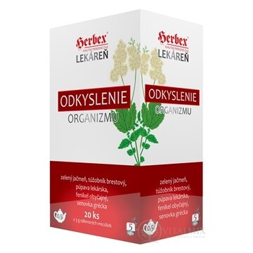 HERBEX Lekáreň ODKYSLENIE organizmu bylinná zmes, čaj 20x3 g (60 g) obrázok