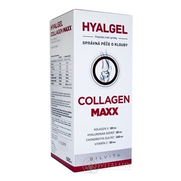HYALGEL COLLAGEN MAXX tekutý prípravok s pomarančovou príchuťou 1x500 ml obrázok