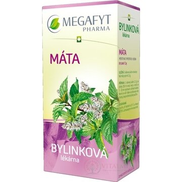 MEGAFYT Bylinková lekáreň MATA bylinný čaj 20x1,5 g (30 g) obrázok