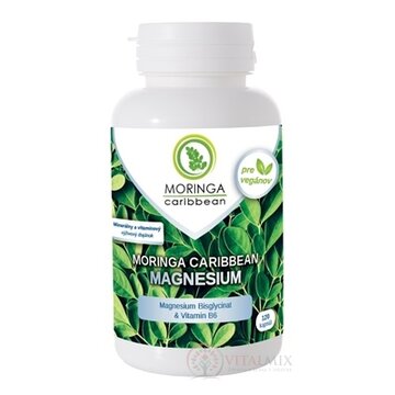 MORINGA Moringa Caribbean MAGNESIUM cps s vitamínom B6 1x120 ks obrázok