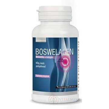 NástrojeZdravia BOSWELAGEN cps 1x60 ks obrázok