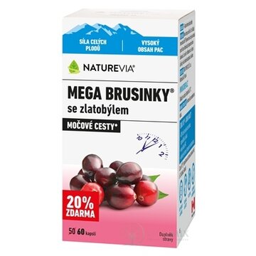 NATUREVIA MEGA BRUSNICE so zlatobyľou cps (20% zdarma) (inov.2026) 1x60 ks obrázok