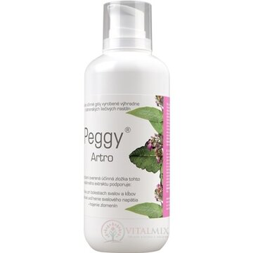PEGGY ARTRO GÉL 1x500 g obrázok