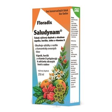 SALUS Floradix Saludynam tekutá froma 1x250 ml obrázok