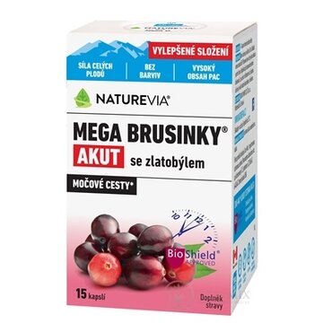 SWISS NATUREVIA MEGA BRUSNICE AKUT SO ZLATOBYĽOU cps 1x15 ks obrázok