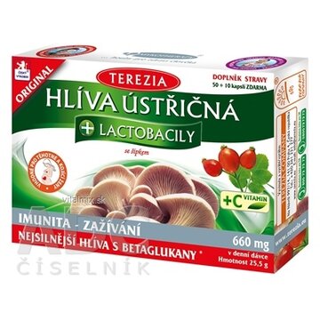 TEREZIA HLIVA USTRICOVITÁ + LAKTOBACILY so šípkami cps 50+10 zadarmo (60 ks) obrázok