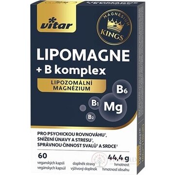 VITAR KINGS LIPOMAGNE + B komplex cps 1x60 ks obrázok