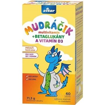 VITAR MUDRÁČIK multivitamín + BETAGLUKÁNY tbl s vitamínom D3 a rakytníkom, príchuť lesná zmes 1x60 ks obrázok